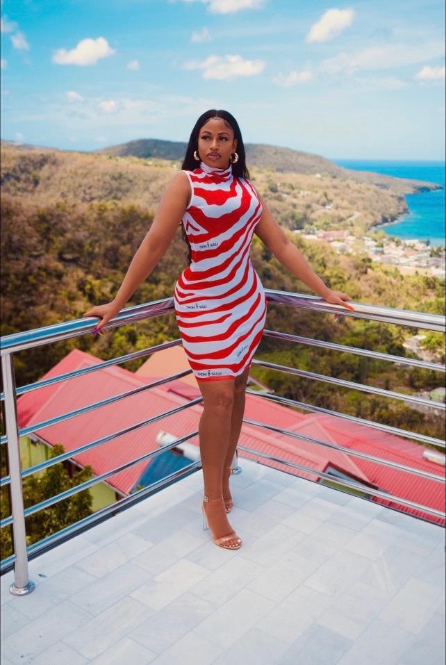 Thom & Sulli Java Sheer Dress